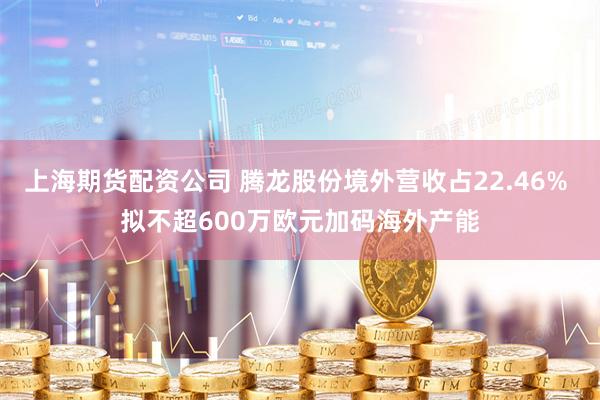   上海期货配资公司 腾龙股份境外营收占22.46% 拟不超600万欧元加码海外产能